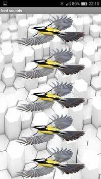 Bird sound screenshot 5