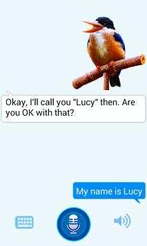 Real Talking Bird screenshot 4