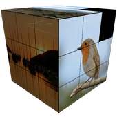 Sliding Puzzle