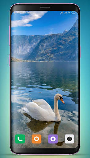 Swan Wallpaper screenshot 12