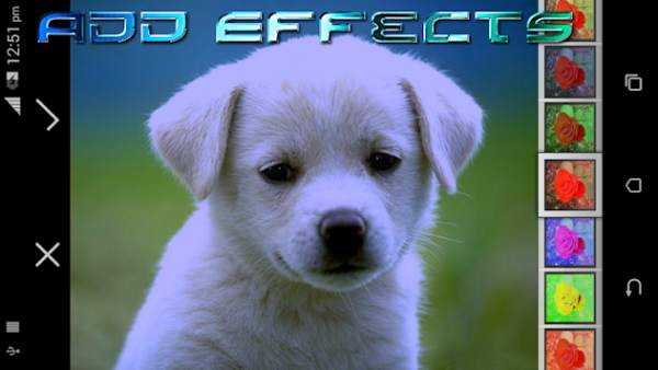 Photo Editor and Photo Effect screenshot 5