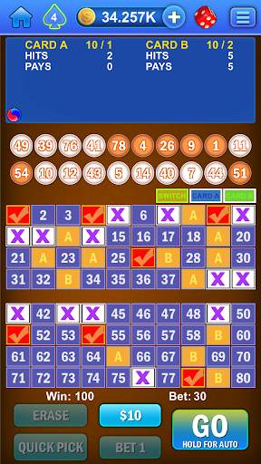 Keno Multi Card screenshot 5