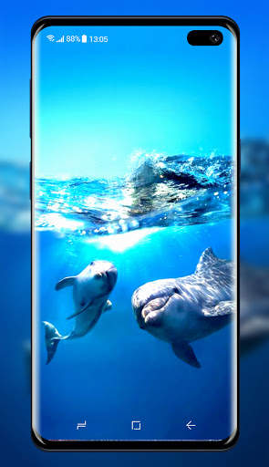 Dolphins Wallpaper screenshot 2