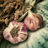 Garlic For Health icon