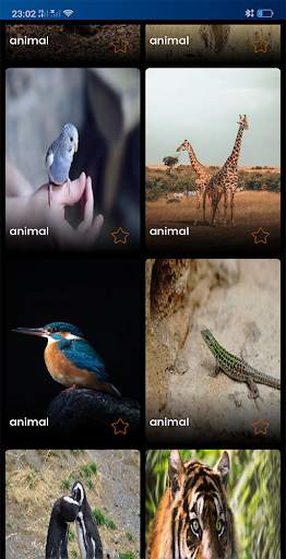 animals Wallpapers screenshot 5