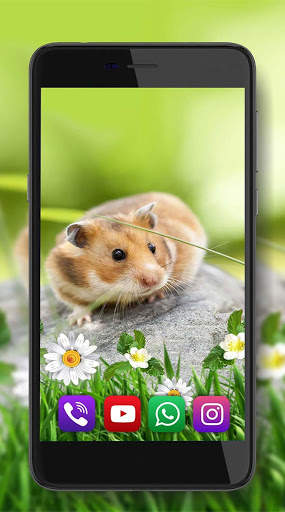 Hamsters Funny Live Wallpaper screenshot 3