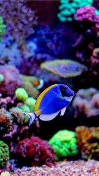 Aquarium Wallpaper HD Free screenshot 6