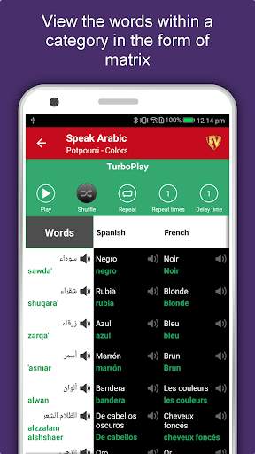 Speak Arabic : Learn Arabic Language Offline screenshot 7