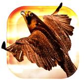 Heavenly Bird Fly Live Wallpap 1.0