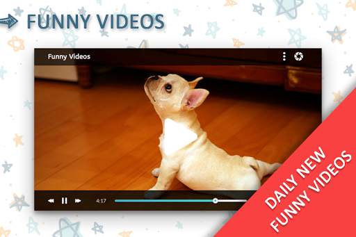 Funny Videos screenshot 3