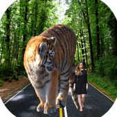 Big Picture Camera icon