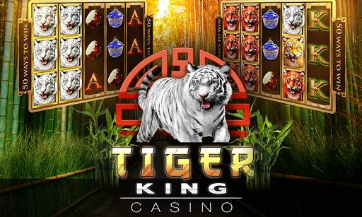 Slots Tiger King Casino Slots screenshot 1