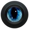 3D Live Scanner 2020-Q1-05