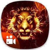Live Fire Video Photo Background Editor 1.0