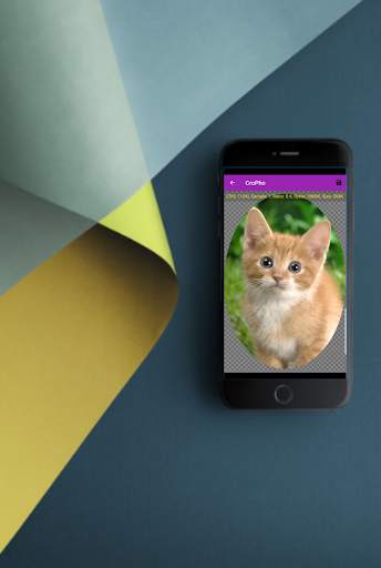 Free Photo Editor screenshot 4