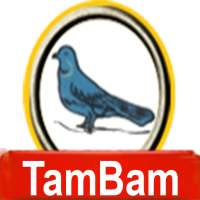 Titli Kabutar Casino King Game logo