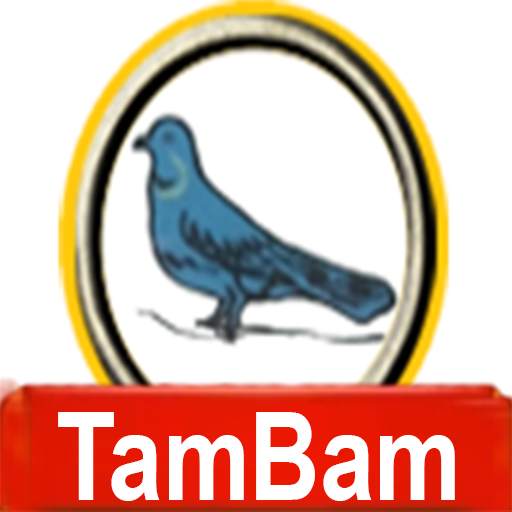 Titli Kabutar Casino King Game 11.1
