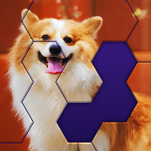 Hex Block Jigsaw icon