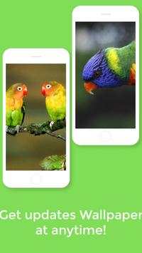 HD Best Birds Wallpaper 4K - Mobile Themes screenshot 8