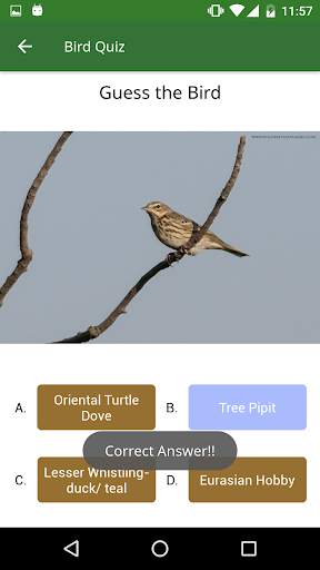 Vasai Birds स्क्रीनशॉट 8