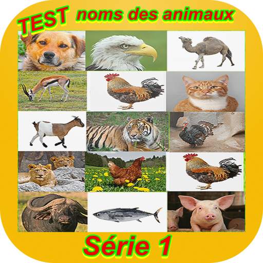 Examen 1 : noms des animaux 1.5