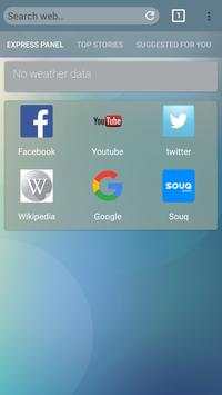 Pweb Browser - Fast & Secure screenshot 1