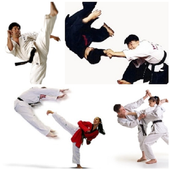 Kempo Self Defense Technique icon