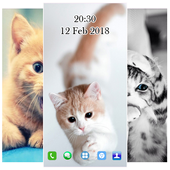 Cute Cat Wallpaper HD icon
