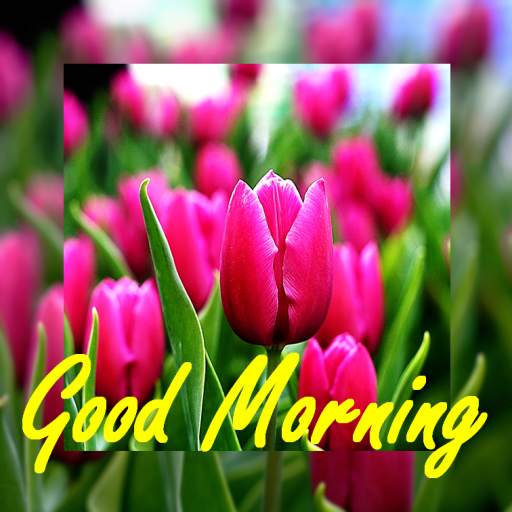 Good Morning New 5.4.0