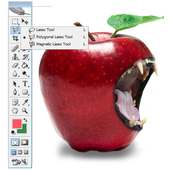 icon