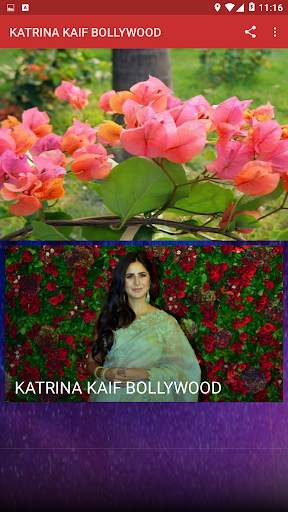 KATRINA KAIF BOLLYWOOD 1 تصوير الشاشة