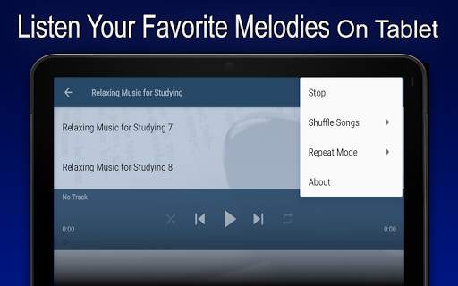 Relaxing Music for Studying screenshot 6