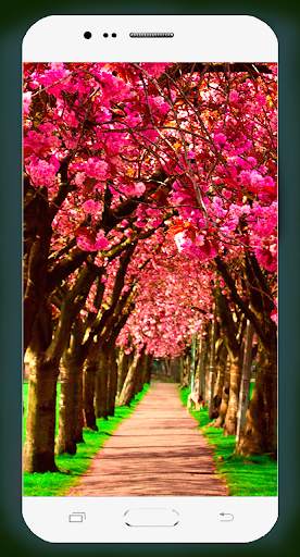 Spring Wallpaper HD screenshot 4