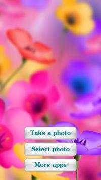 Photo Frames - Flowers 2 screenshot 1
