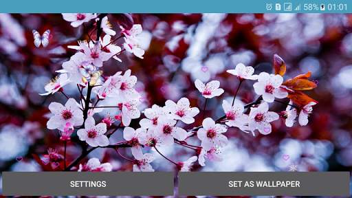 Flower Spring Live Wallpapers screenshot 10
