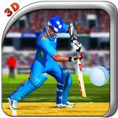 Cricket Hero Challenge 3D 2016 1.2