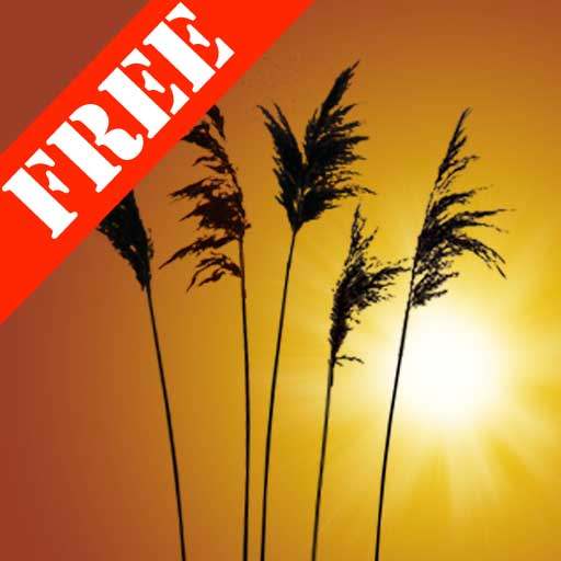 Reeds Free Live Wallpaper 1.10