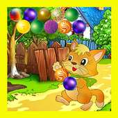 Magic Bubble Kitten