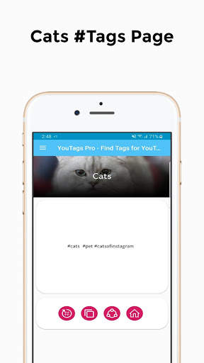 YouTags Pro - Find Tags for YouTube Videos screenshot 2