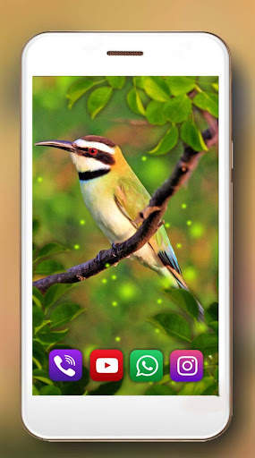 Birds Live Wallpaper screenshot 4