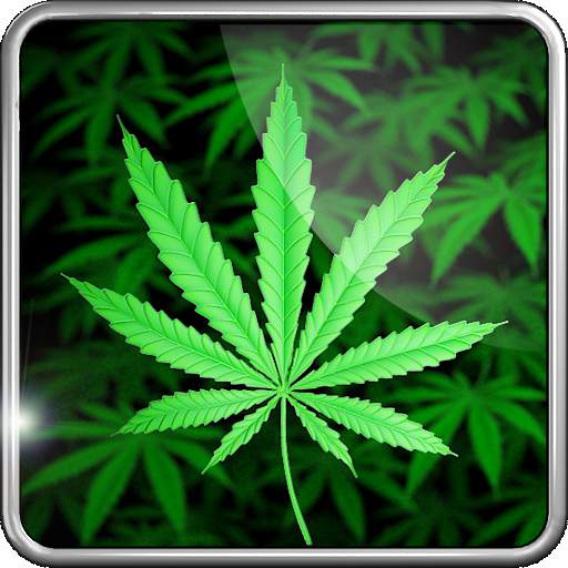 My Ganja Live Wallpaper 1.13
