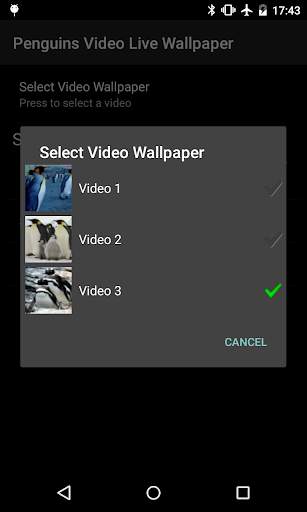 Penguins Video Live Wallpaper screenshot 6