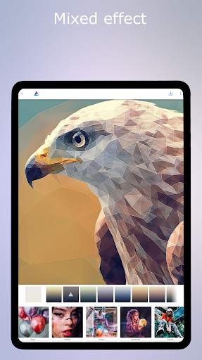 Low Poly - Editor & Photo FX screenshot 13