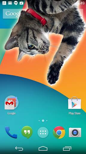 Cat inside phone prank screenshot 2