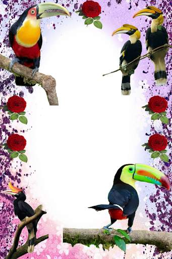 Birds Photo Frames स्क्रीनशॉट 8