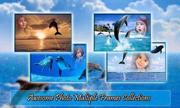 Dolphin Photo Frame screenshot 3