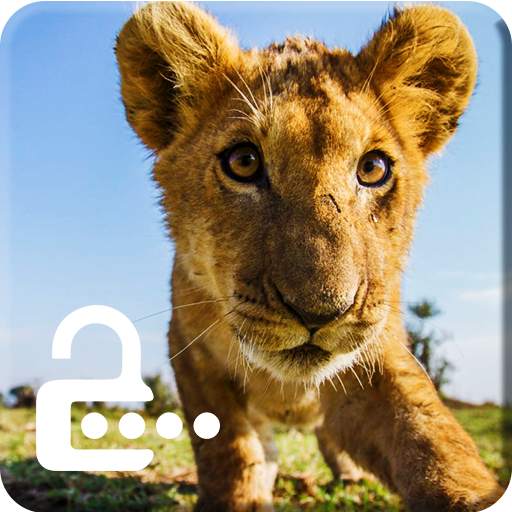 Africa Lion Wild Animal King Screen Lock 2.0