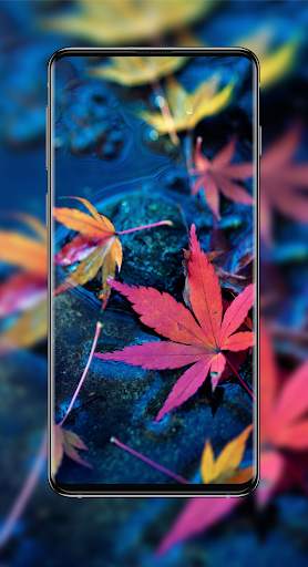 Live Wallpaper-4K Wallpaper-Auto Wallpaper Changer screenshot 10