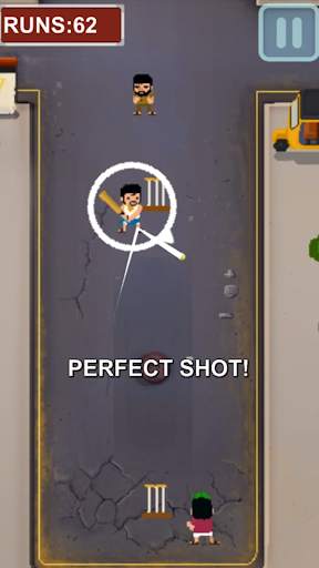 Crazy Cricket screenshot 8