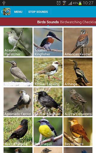 South American Birds Free स्क्रीनशॉट 3